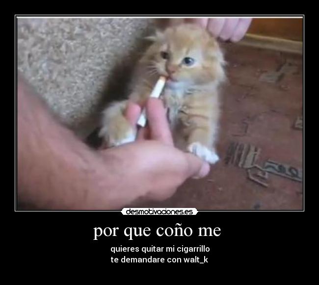 por que coño me - quieres quitar mi cigarrillo
te demandare con walt_k