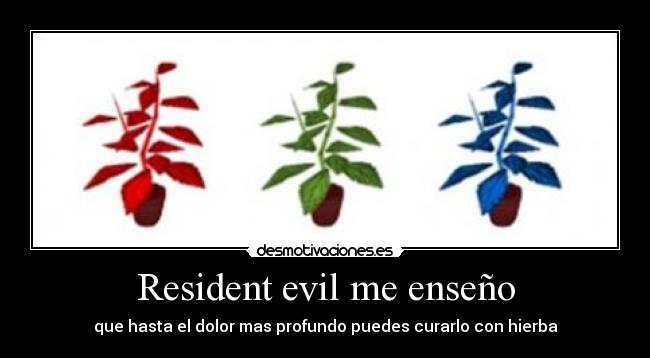 Resident evil me enseño - que hasta el dolor mas profundo puedes curarlo con hierba