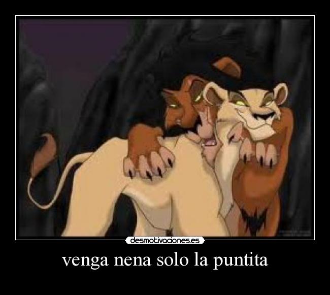 venga nena solo la puntita -