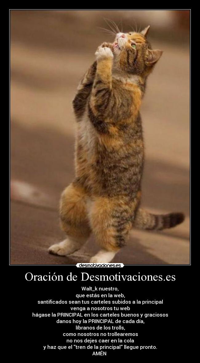 Oración de Desmotivaciones.es - Walt_k nuestro,
que estás en la web,
santificados sean tus carteles subidos a la principal
venga a nosotros tu web
hágase la PRINCIPAL en los carteles buenos y graciosos
danos hoy la PRINCIPAL de cada día,
líbranos de los trolls,
como nosotros no trollearemos
no nos dejes caer en la cola
y haz que el tren de la principal llegue pronto.
AMÉN