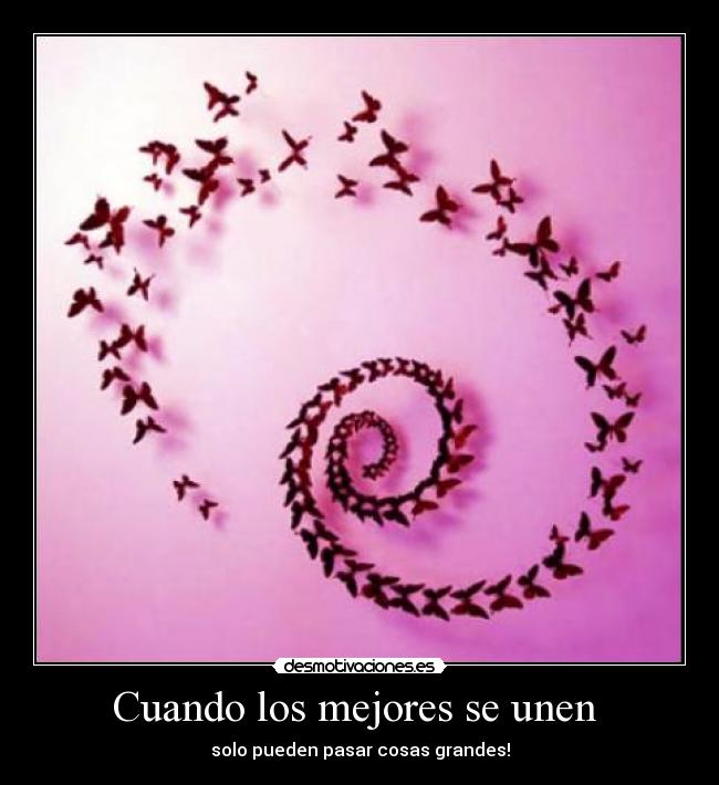 Cuando los mejores se unen -