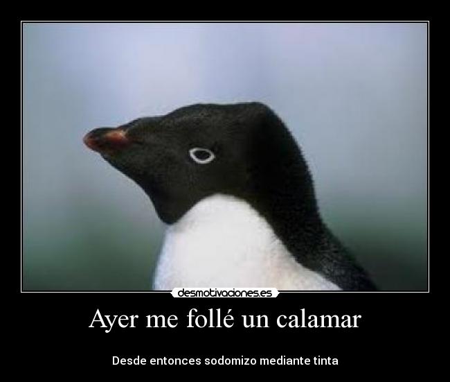 Ayer me follé un calamar -
Desde entonces sodomizo mediante tinta