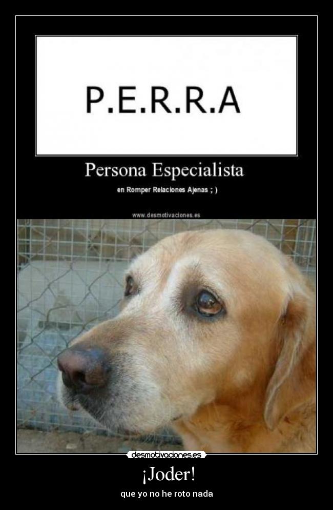 carteles perra roto nada animal compania desmotivaciones