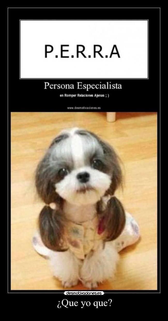 ¿Que yo que? - 