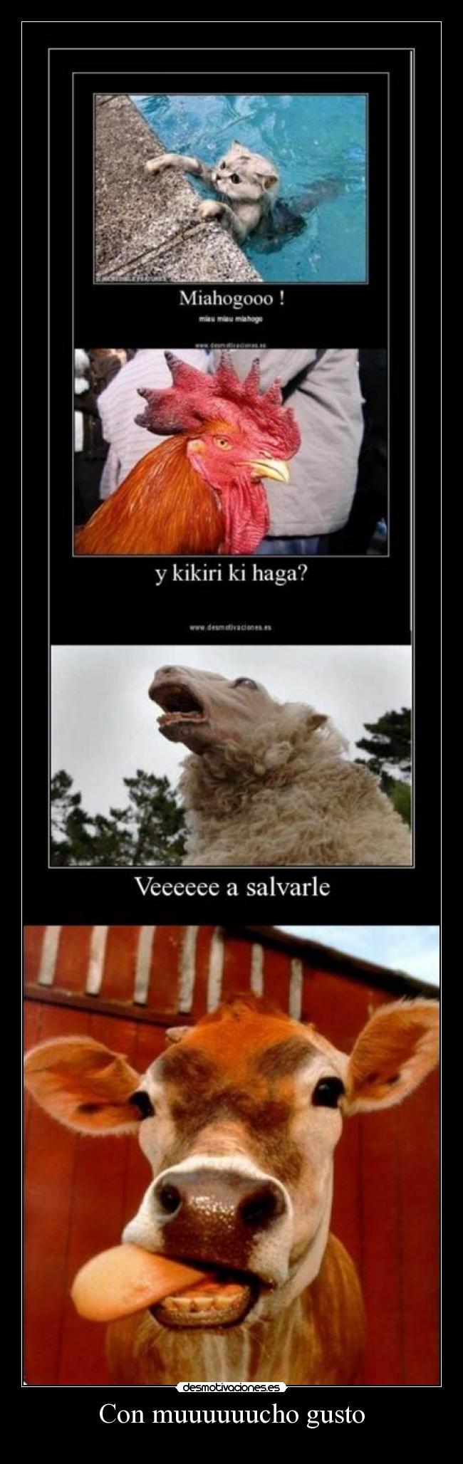 Con muuuuuucho gusto - 