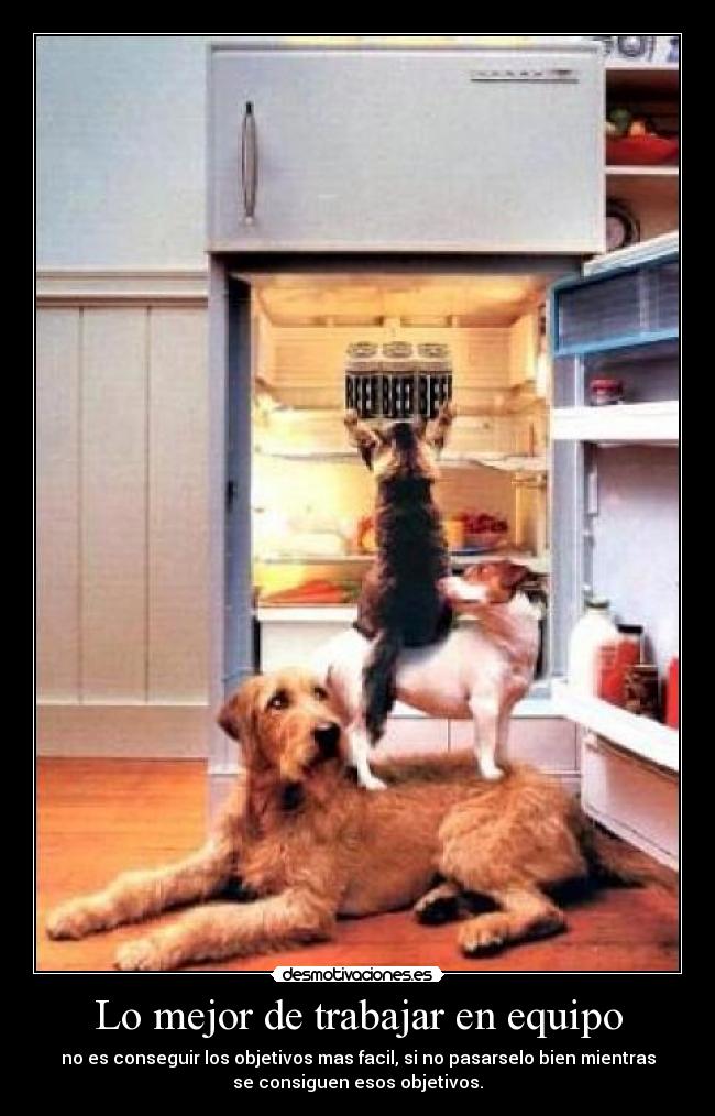 Lo mejor de trabajar en equipo - no es conseguir los objetivos mas facil, si no pasarselo bien mientras
se consiguen esos objetivos.