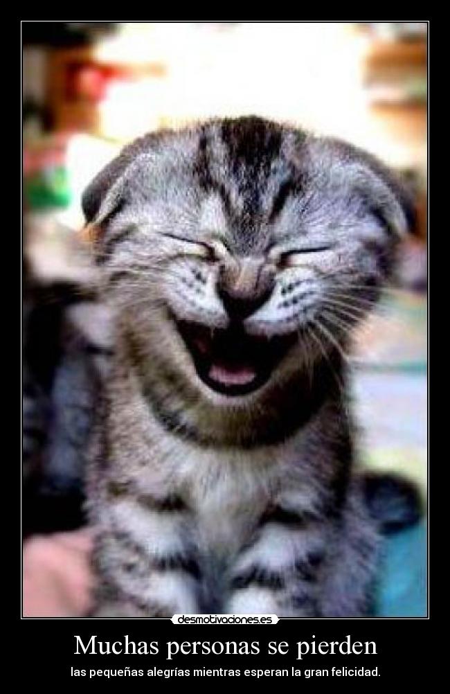 carteles muchas personas muchas personas pierden muchas personas pierden desmotivaciones