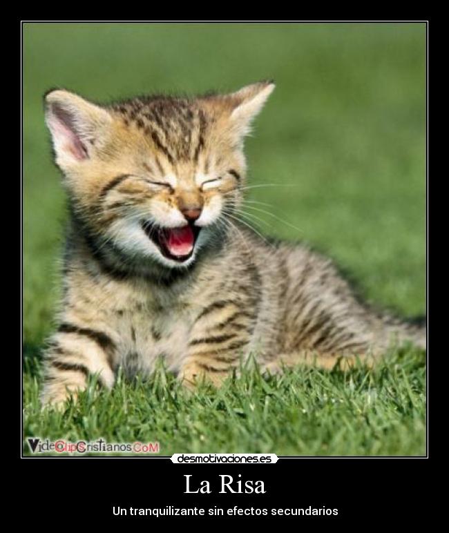 La Risa - 