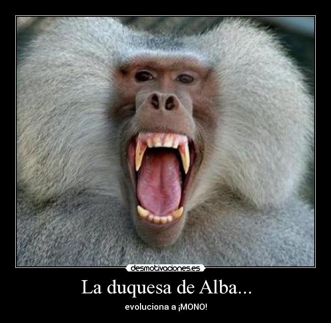 La duquesa de Alba... -