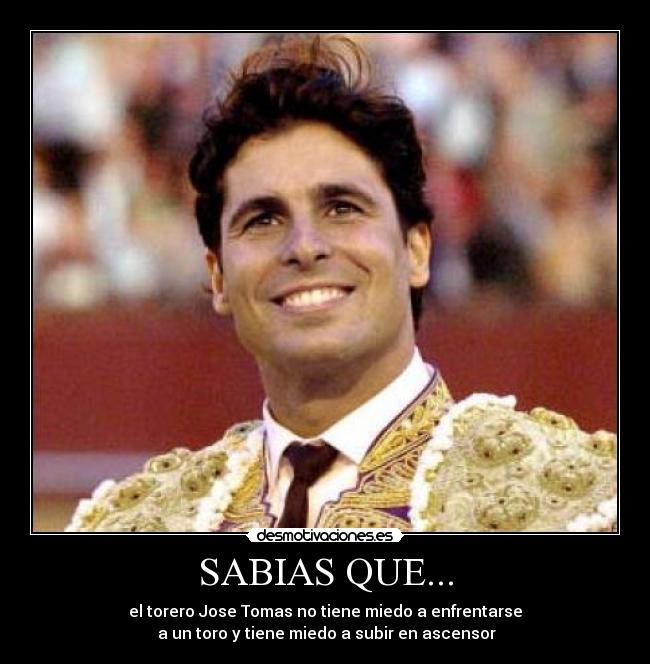 SABIAS QUE... - el torero Jose Tomas no tiene miedo a enfrentarse
a un toro y tiene miedo a subir en ascensor