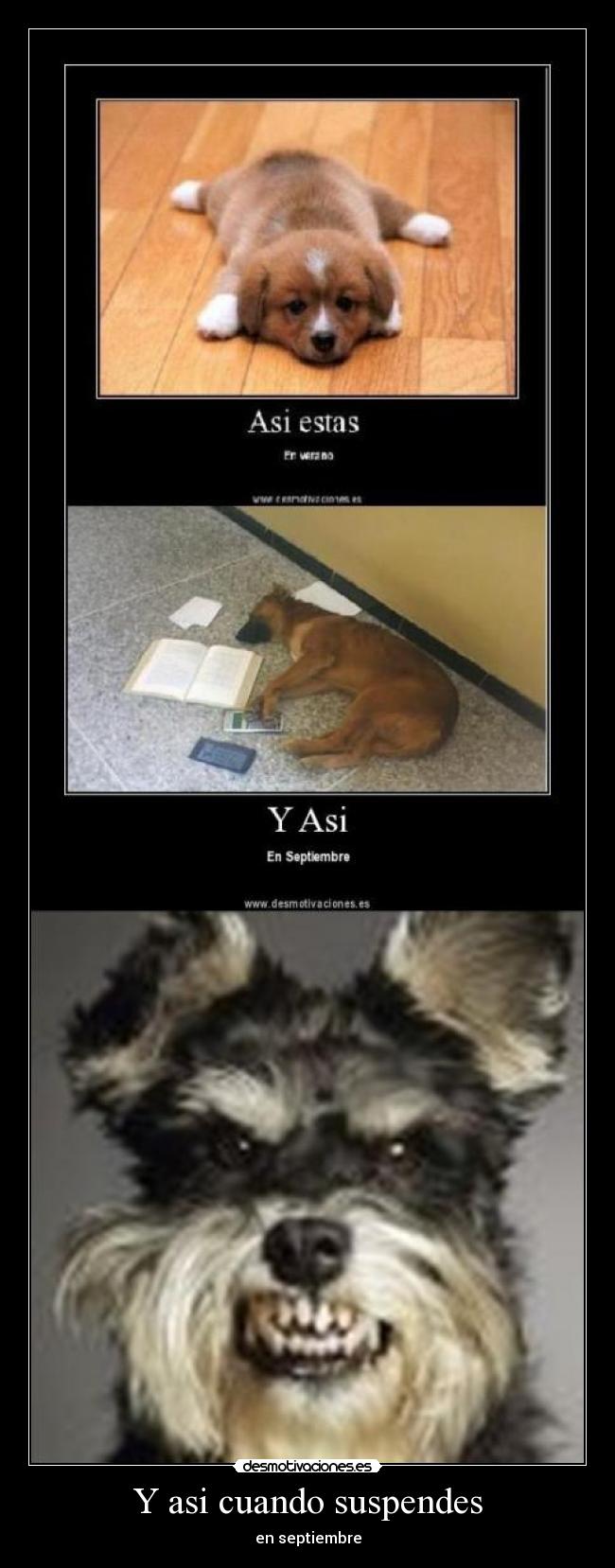 Y asi cuando suspendes - en septiembre