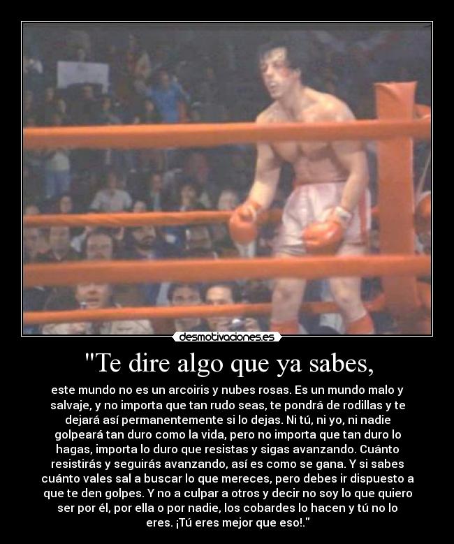 carteles dire algo que sabes este mundo arcoiris nubes rosas mundo malo salvaje desmotivaciones