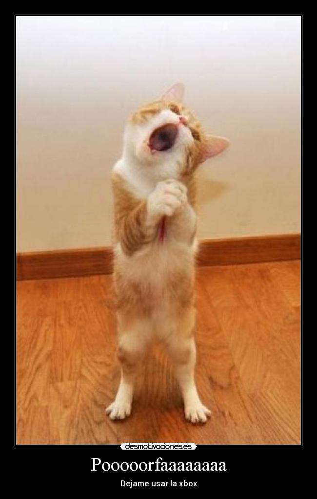 Pooooorfaaaaaaaa - Dejame usar la xbox