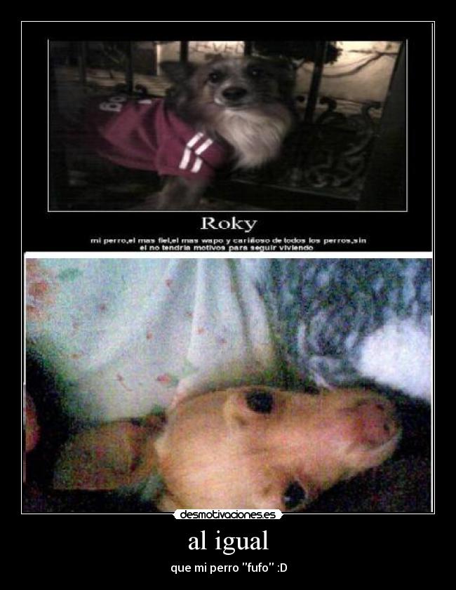 al igual - que mi perro fufo :D