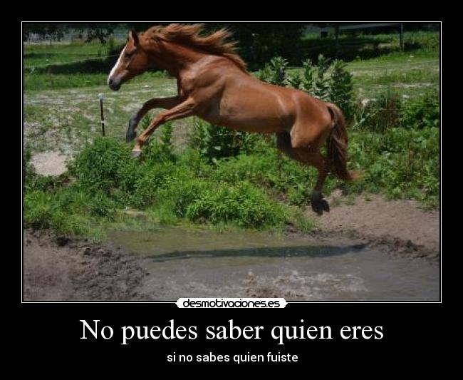 No puedes saber quien eres - si no sabes quien fuiste