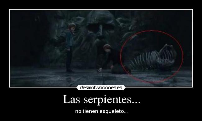 Las serpientes... - no tienen esqueleto...