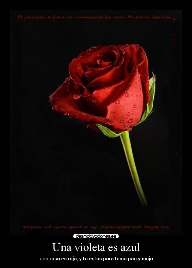 Una violeta es azul - una rosa es roja, y tu estas para toma pan y moja