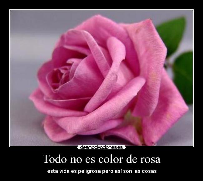 Todo no es color de rosa - esta vida es peligrosa pero así son las cosas