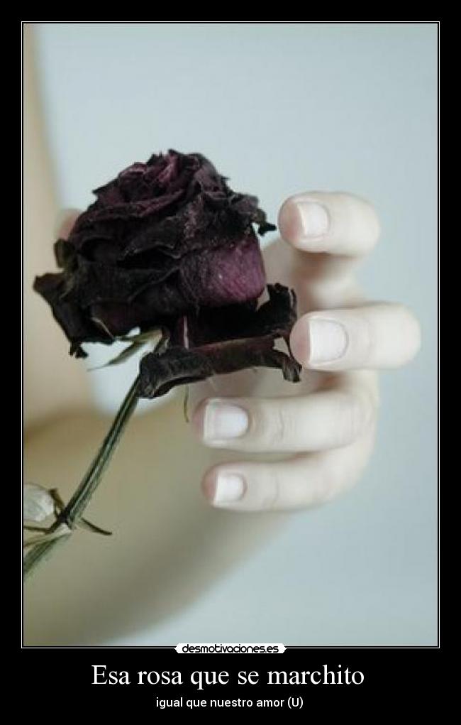 carteles isitathestyle desmotivaciones