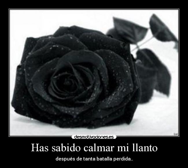 carteles asa desmotivaciones