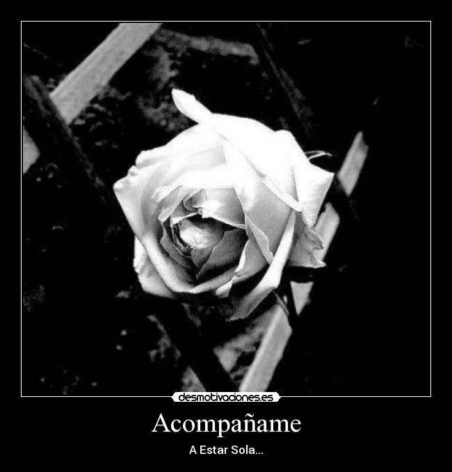 Acompañame - A Estar Sola...