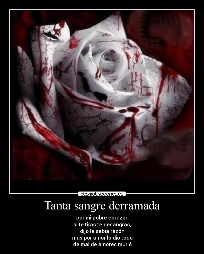 Tanta sangre derramada - por mi pobre corazón
si te tiras te desangras,
dijo la sabia razón
mas por amor lo dio todo
de mal de amores murió