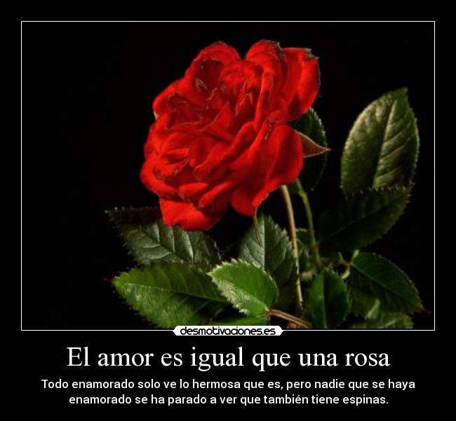 El amor es igual que una rosa - Todo enamorado solo ve lo hermosa que es, pero nadie que se haya
enamorado se ha parado a ver que también tiene espinas.