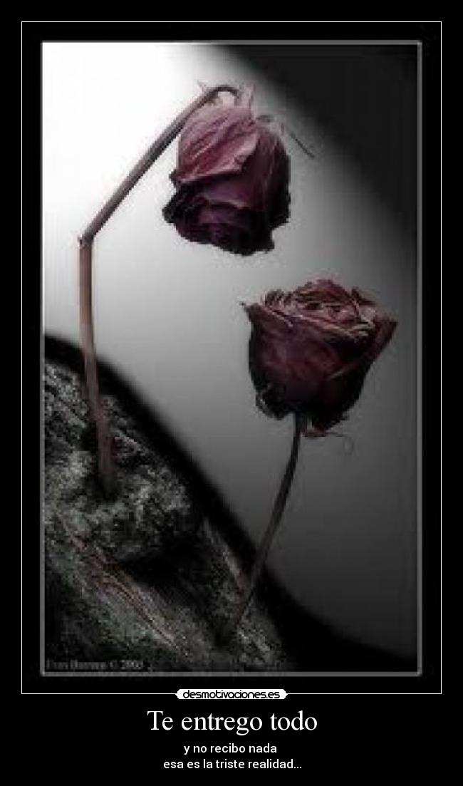 carteles lidialovearoa desmotivaciones