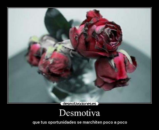 Desmotiva - que tus oportunidades se marchiten poco a poco