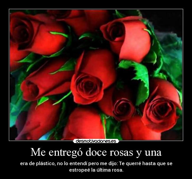 carteles rosas desmotivaciones