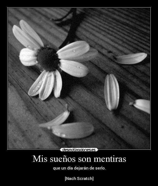 Mis sueños son mentiras -