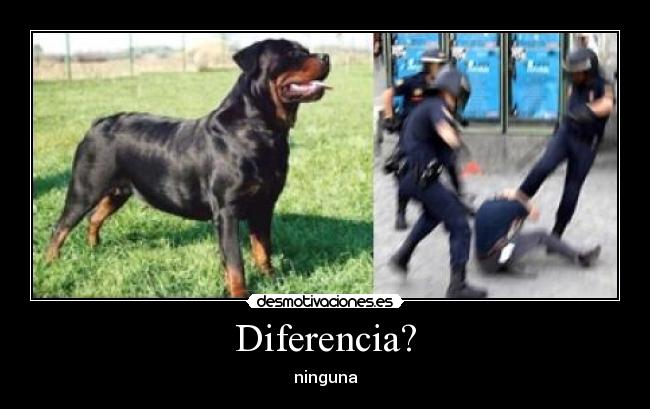 Diferencia? - ninguna