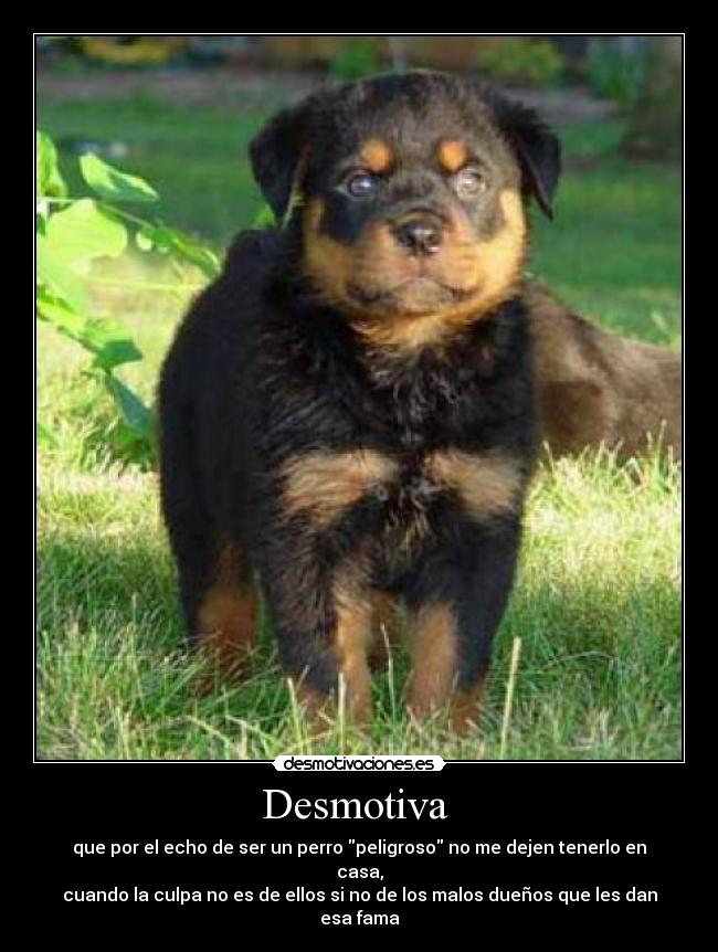 Desmotiva  - 