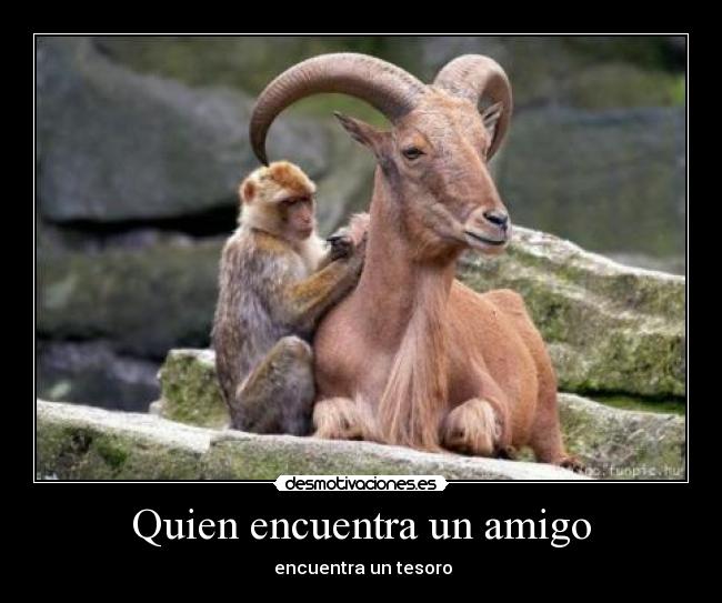 Quien encuentra un amigo - 