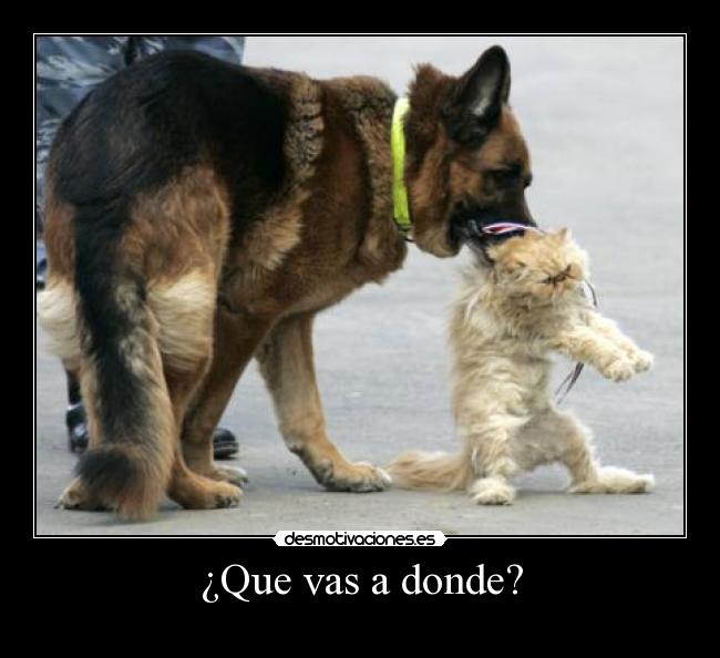 ¿Que vas a donde? -