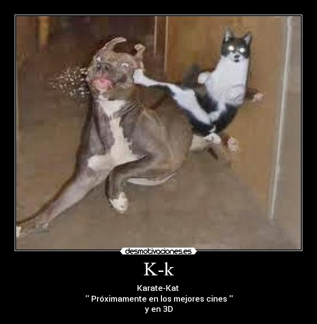 K-k - Karate-Kat
Próximamente en los mejores cines
y en 3D