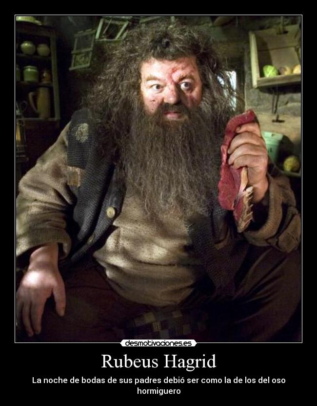Rubeus Hagrid -