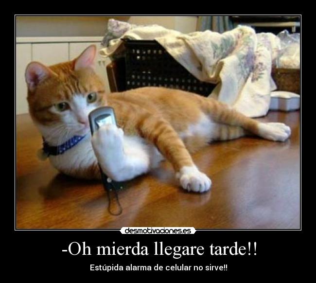 -Oh mierda llegare tarde!! - Estúpida alarma de celular no sirve!!