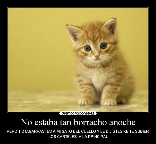 No estaba tan borracho anoche - -PERO TIO !AGARRASTES A MI GATO DEL CUELLO Y LE DIJISTES KE TE SUBIERA
LOS CARTELES A LA PRINCIPAL