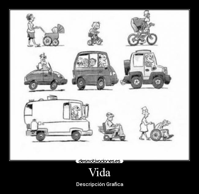 Vida - 