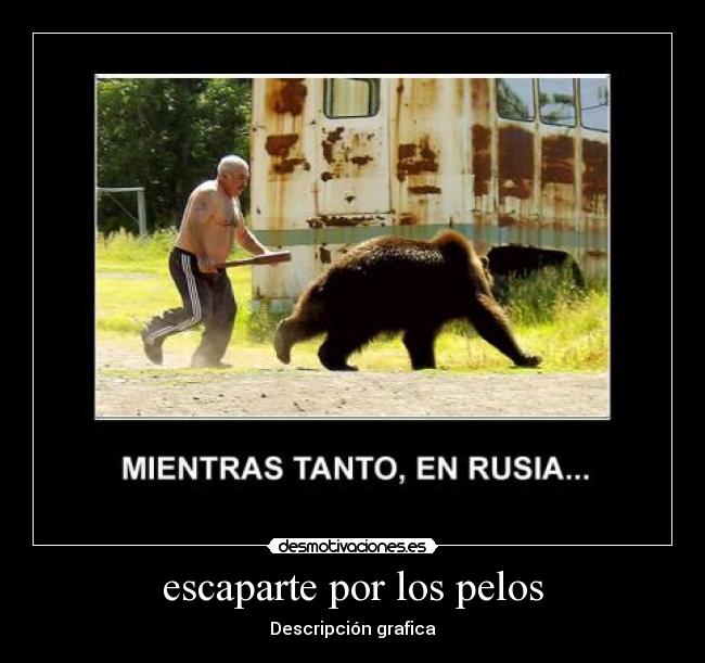 escaparte por los pelos - Descripción grafica