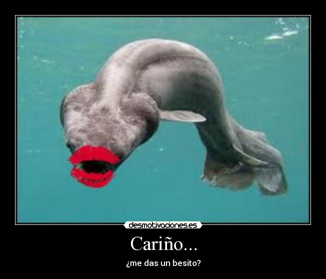 Cariño... - 
