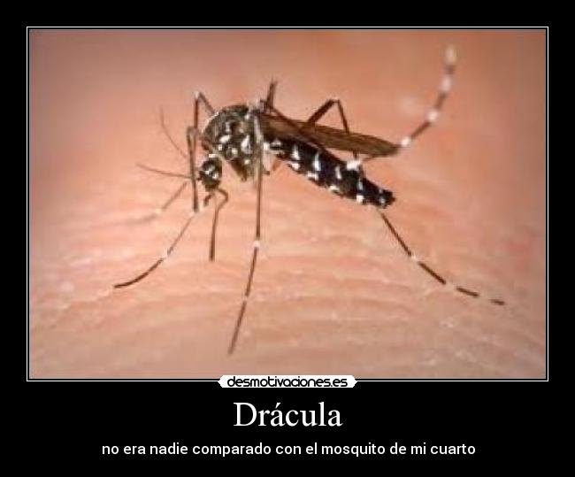Drácula - 