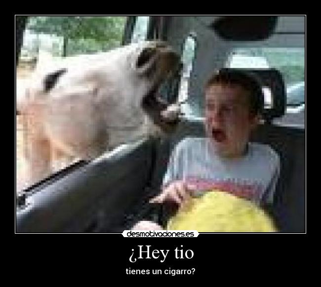 ¿Hey tio - 