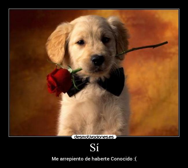 Sí - Me arrepiento de haberte Conocido :(