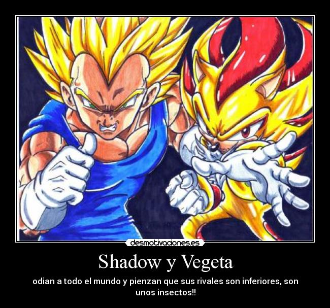 Shadow y Vegeta -