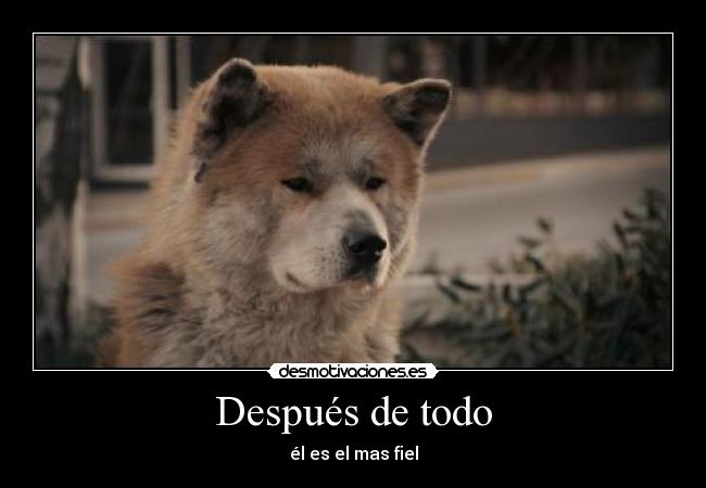 Después de todo - él es el mas fiel