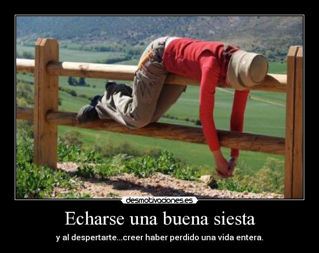 Echarse una buena siesta - y al despertarte...creer haber perdido una vida entera.