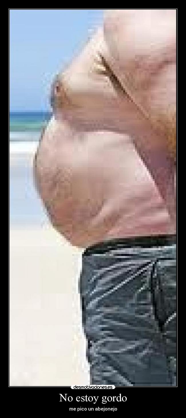 No estoy gordo - me pico un abejonejo