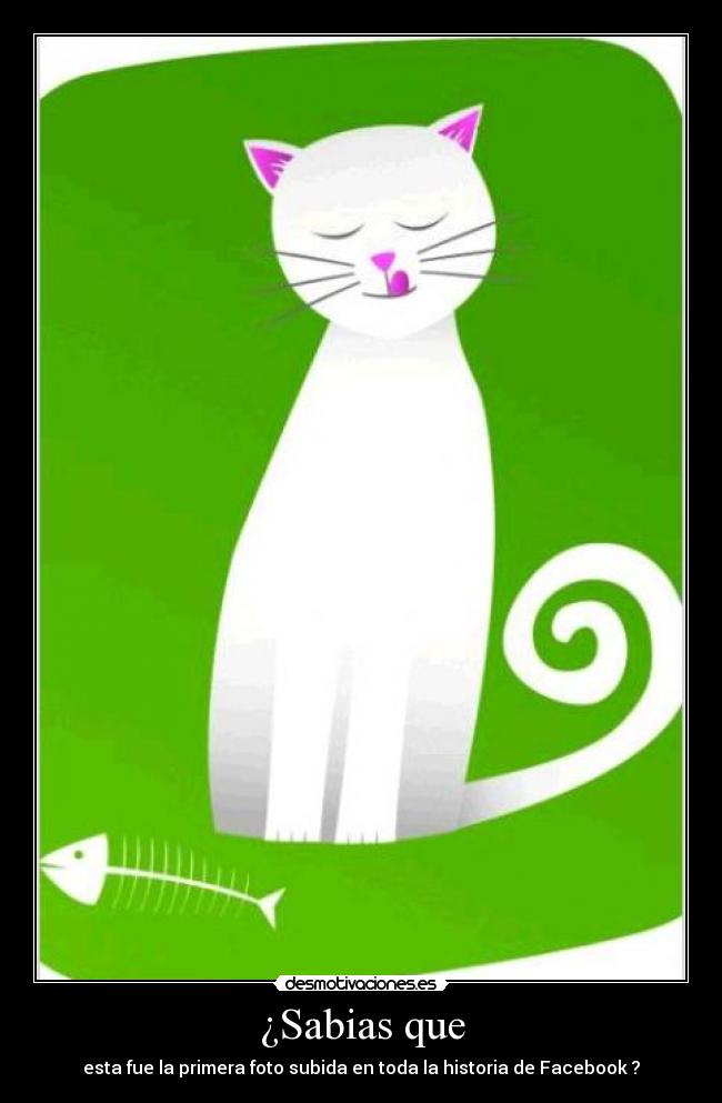 ¿Sabias que - esta fue la primera foto subida en toda la historia de Facebook ?
